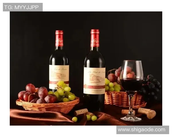 姚明珍藏干红酒品鉴之旅探索中国葡萄酒的独特魅力与文化传承 姚明珍藏干红酒品鉴之旅探索中国葡萄酒的独特魅力与文化传承