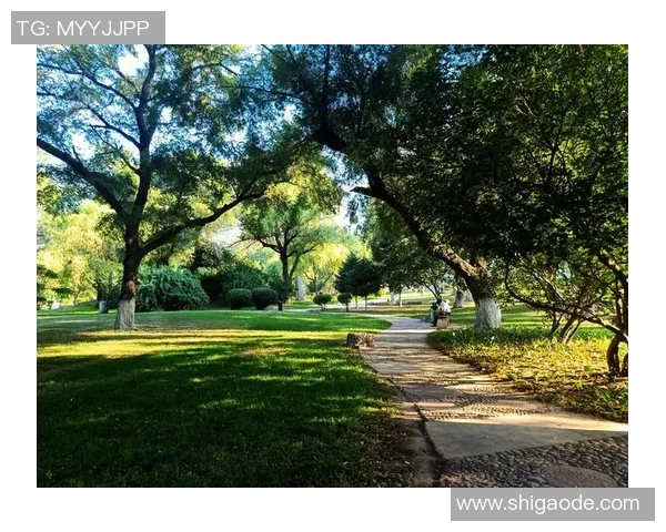 姚明明在晨曦中散步感悟人生哲理与健康生活的完美结合