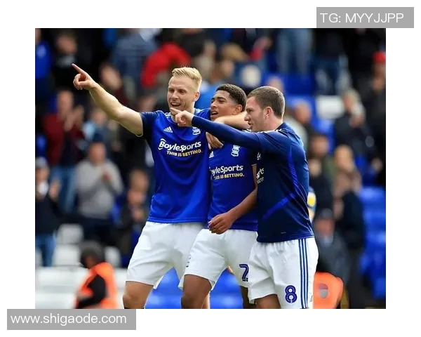 英冠足球明星球员盘点及其在赛场上的精彩表现分析 英冠足球明星球员盘点及其在赛场上的精彩表现分析