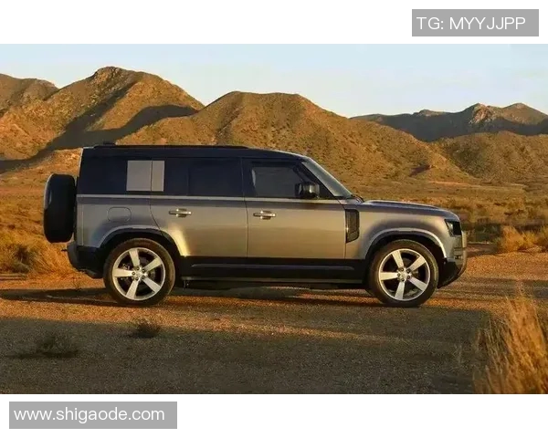 揭秘哪位足球明星驾驶路虎展现豪华与实力的完美结合