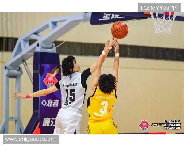 亮亮明星篮球:点燃青春激情,追逐梦想的篮球之旅 亮亮明星篮球:点燃青春激情,追逐梦想的篮球之旅